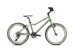 Bicicletta per bambini Academy  Grade 4 - 20" Green