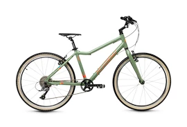 Bicicletta per bambini Academy Grade 5 - 24" Green