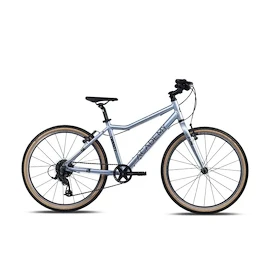 Bicicletta per bambini Academy Grade 5 Edition - FUNtasy Silver