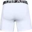 Boxer da uomo Under Armour  Charged Cotton 6" 3 Pack white Dynamic