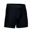 Boxer da uomo Under Armour  Tech 6" 2 Pack black Dynamic