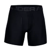 Boxer da uomo Under Armour  Tech 6" 2 Pack black Dynamic