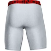 Boxer da uomo Under Armour  Tech 9in 2 Pack grey Dynamic