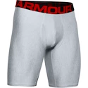 Boxer da uomo Under Armour  Tech 9in 2 Pack grey Dynamic