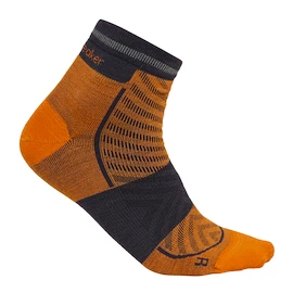 Calzini da uomo Icebreaker Merino Run+ Ultralight Mini Ray/Graphite