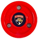 Disco da allenamento Green Biscuit  Florida Panthers