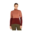 Felpa da donna Icebreaker Merino 400 RealFleece Descender LS Z Cedar Wood/Port/Cb