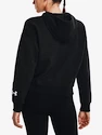 Felpa da donna Under Armour  Essential Script Hoodie-BLK