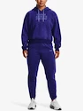 Felpa da donna Under Armour  Essential Script Hoodie-BLU