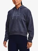 Felpa da donna Under Armour  Essential Script Hoodie-GRY