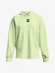 Felpa da donna Under Armour  Summit Knit Hoodie-GRN