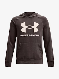 Felpa da ragazzo Under Armour RIVAL FLEECE HOODIE-BRN