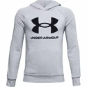 Felpa da ragazzo Under Armour  Rival Fleece Hoodie light grey