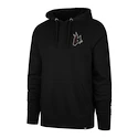 Felpa da uomo 47 Brand  NHL Arizona Coyotes Imprint Backer 47 BURNSIDE Hood