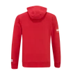 Felpa da uomo CCM  FLAG HOODIE TEAM AUSTRIA Red