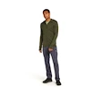 Felpa da uomo Icebreaker Merino 260 Quantum IV LS Zip Hoodie Loden