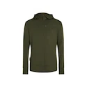 Felpa da uomo Icebreaker Merino 260 Quantum IV LS Zip Hoodie Loden