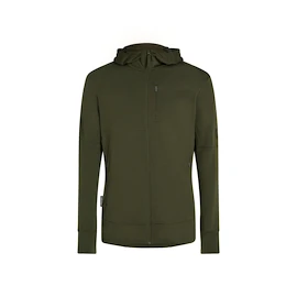 Felpa da uomo Icebreaker Merino 260 Quantum IV LS Zip Hoodie Loden