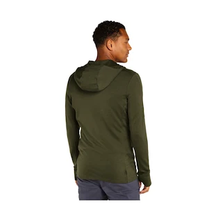 Felpa da uomo Icebreaker Merino 260 Quantum IV LS Zip Hoodie Loden