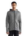 Felpa da uomo Icebreaker  Quantum III LS Zip Hoodie Metro/Black