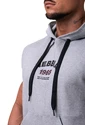 Felpa da uomo Nebbia 1965 Golden Era hoodie ragtop 197 light grey