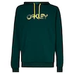 Felpa da uomo Oakley  The Post Po Hoodie S