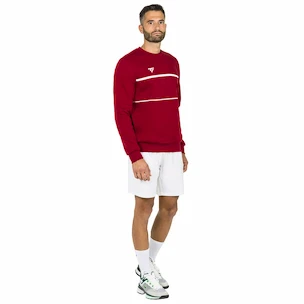 Felpa da uomo Tecnifibre  Club Sweater Cardinal XXL