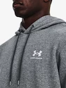 Felpa da uomo Under Armour  Essential Fleece Hoodie-GRY