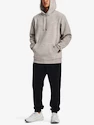 Felpa da uomo Under Armour  Essential Fleece Hoodie-GRY