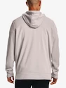 Felpa da uomo Under Armour  Fleece FZ Hoodie-GRY