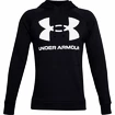 Felpa da uomo Under Armour  Rival Fleece Big Logo HD-BLK