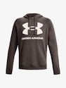 Felpa da uomo Under Armour  Rival Fleece Big Logo HD-BRN