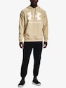 Felpa da uomo Under Armour  Rival Fleece Big Logo HD-BRN