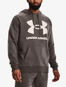 Felpa da uomo Under Armour  Rival Fleece Big Logo HD-BRN