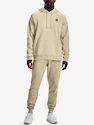 Felpa da uomo Under Armour  Rival Fleece Hoodie-BRN