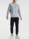 Felpa da uomo Under Armour  Rival Fleece Hoodie-GRY