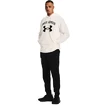 Felpa da uomo Under Armour  RIVAL TERRY BIG LOGO HD white