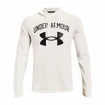 Felpa da uomo Under Armour  RIVAL TERRY BIG LOGO HD white