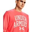 Felpa da uomo Under Armour  RIVAL TERRY CREW-RED