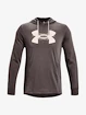 Felpa da uomo Under Armour  Rival Terry Logo Hoodie-BRN