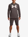 Felpa da uomo Under Armour  Rival Terry Logo Hoodie-BRN