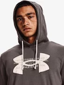 Felpa da uomo Under Armour  Rival Terry Logo Hoodie-BRN