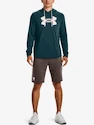 Felpa da uomo Under Armour  Rival Terry Logo Hoodie-GRN