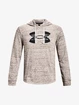 Felpa da uomo Under Armour  Rival Terry Logo Hoodie-WHT