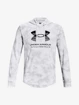 Felpa da uomo Under Armour  Rival Terry Novelty HD-WHT