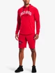 Felpa da uomo Under Armour  Rival Try Athlc Dept HD-RED