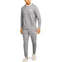 Felpa da uomo Under Armour  SPORTSTYLE TERRY HOODIE