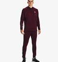 Felpa da uomo Under Armour  Terry Hoodie Red XXL