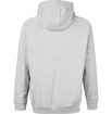 Felpa da uomo Virtus  Oralie Hoody grey