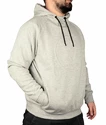 Felpa da uomo Virtus  Oralie Hoody grey